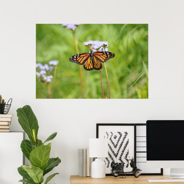 Beautiful Monarch Butterfly Flower Photography Art Poster (Home Office)