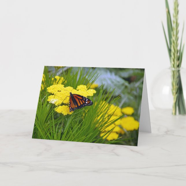 Beautiful monarch butterfly greeting card (Front)