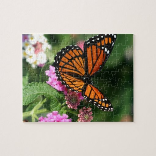 Beautiful Monarch Butterfly Jigsaw Puzzle Zazzle