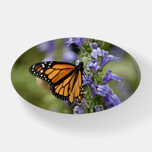 Beautiful Monarch Butterfly on a Flower Paperweight