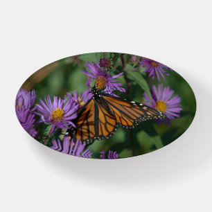 Beautiful Monarch Butterfly on a Flower Paperweight