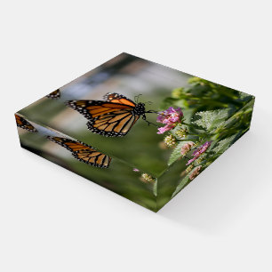 Beautiful Monarch Butterfly Paperweight