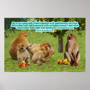 Beautiful Monkey Scripture 2 Corinthians 6:14 Poster