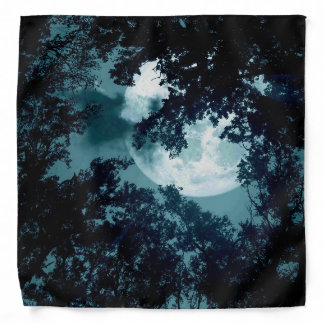 Beautiful Moon Glow Though Trees Bandana