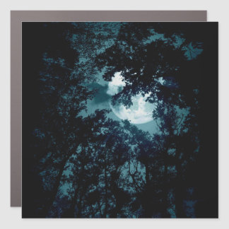 Beautiful Moon Glow Though Trees  Car Magnet