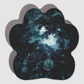 Beautiful Moon Glow Though Trees  Car Magnet