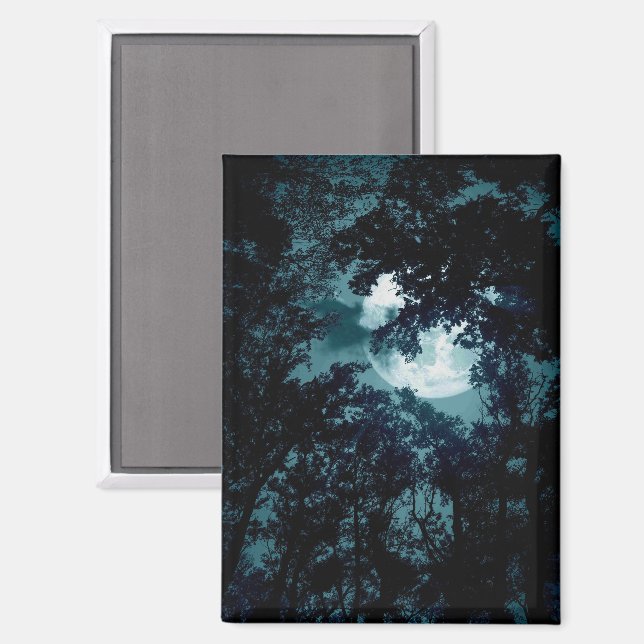 Beautiful Moon Glow Though Trees  Magnet (Front/Back)