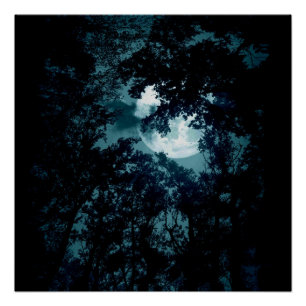 Beautiful Moon Glow Though Trees Poster