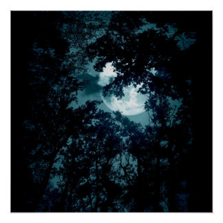 Beautiful Moon Glow Though Trees  Poster