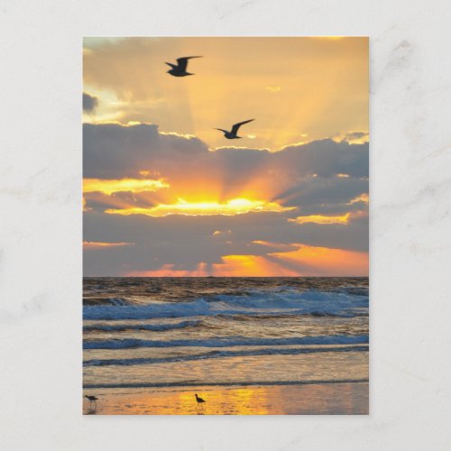 Beautiful Morning Beach Sunrise Scenery Postcard