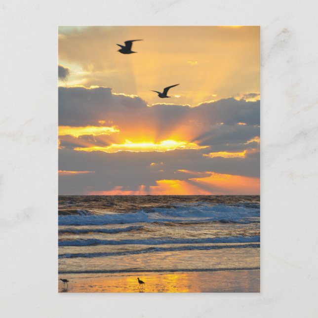Beautiful Morning Beach Sunrise Scenery Postcard (Front)