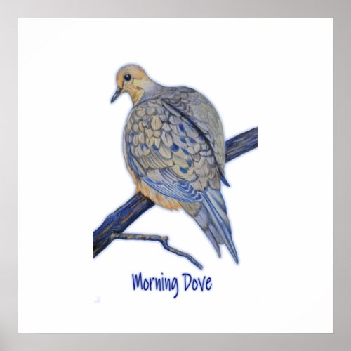 Beautiful Morning Dove Perched on a Branch Art  Poster