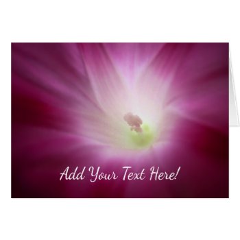 Beautiful Morning Glory Flower Pink Custom Text by M_Sylvia_Chaume at Zazzle