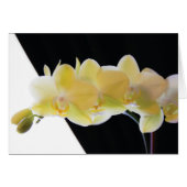 Beautiful Morning Orchids (Front Horizontal)