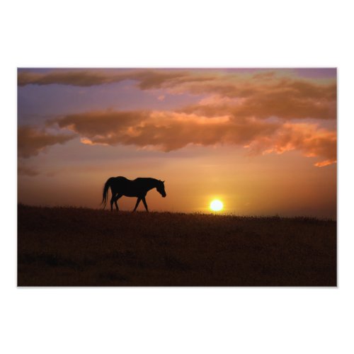 Beautiful Morning Photo Print