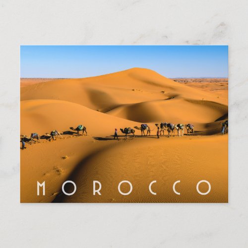 Beautiful Morocco Desert Sahara Camel Riding Trip Postcard