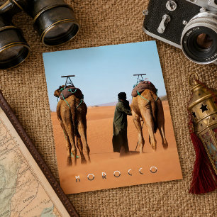 Beautiful Morocco Desert Sahara Camel Riding Trip Postcard