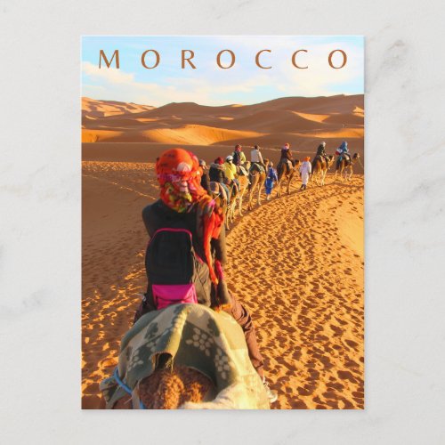 Beautiful Morocco Desert Sahara Camel Trip Postcard