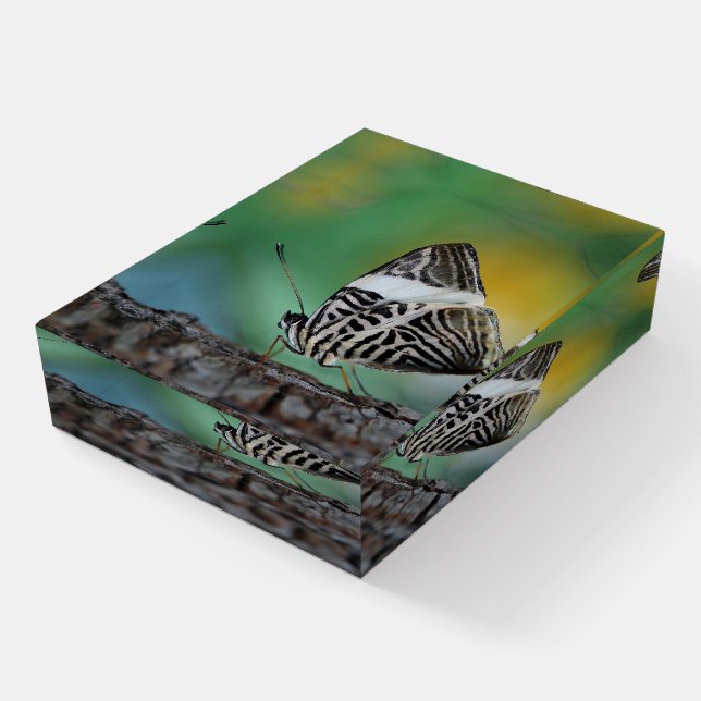 Beautiful Mosaic Zebra Butterfly Paperweight (Angled)