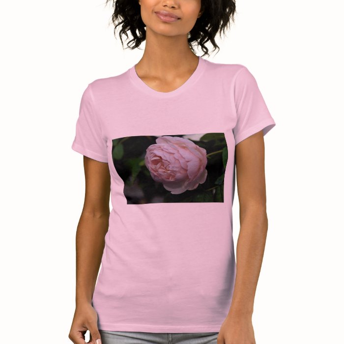 Beautiful Moss Rose 'Alfred de Dalmas' T Shirt