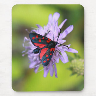 Beautiful Moth Mouse Pad
