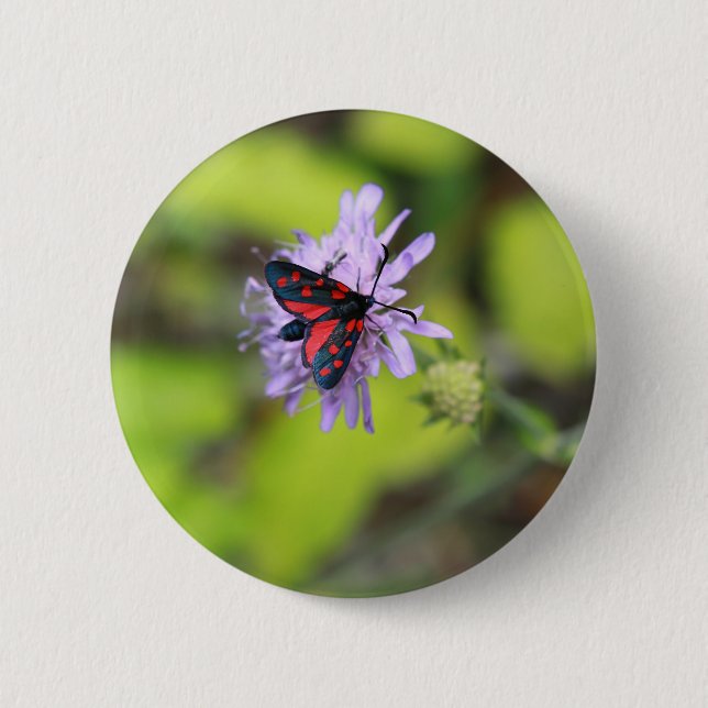 Beautiful Moth Pinback Button (Front)