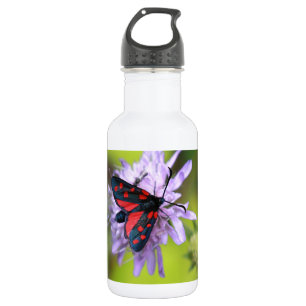 Beautiful Moth Stainless Steel Water Bottle