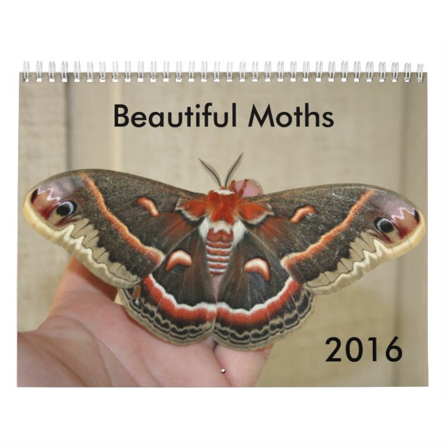 Beautiful Moths Calendar 2016 (Cover)