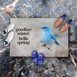 Beautiful Mountain Bluebird at the Beach Welcome Mat
