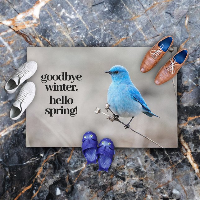 Beautiful Mountain Bluebird at the Beach Doormat (Stunning Mountain Bluebird on Tansy Welcome Mat Cover Photo (indoor).)