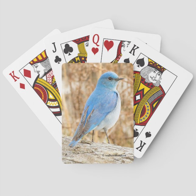 Beautiful Mountain Bluebird at the Beach Poker Cards (Back)