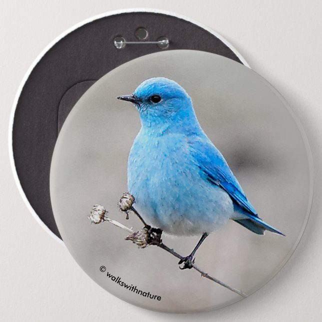 Beautiful Mountain Bluebird Button (Front & Back)