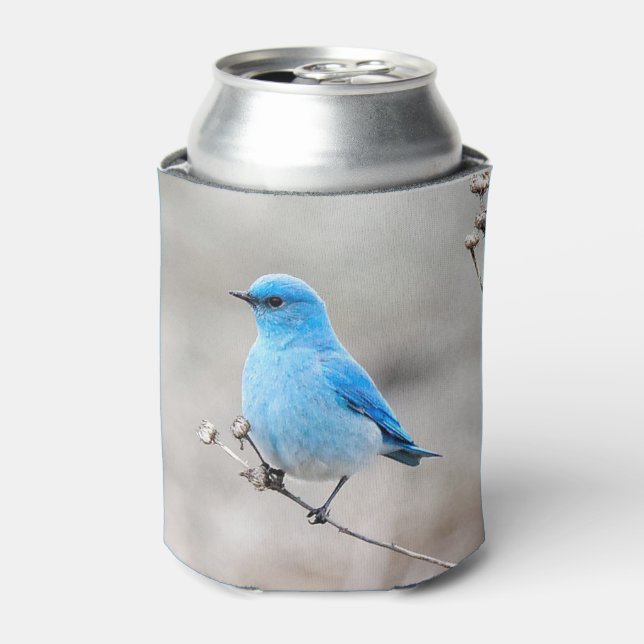 Beautiful Mountain Bluebird Can Cooler (Can Front)