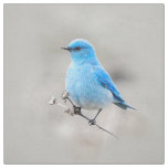 Beautiful Mountain Bluebird Fabric