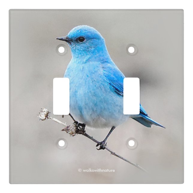 Beautiful Mountain Bluebird Light Switch Cover (Front)