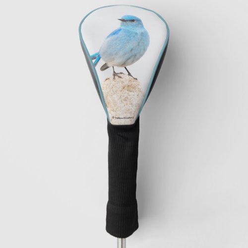 Beautiful Mountain Bluebird on a Stump Golf Head Cover