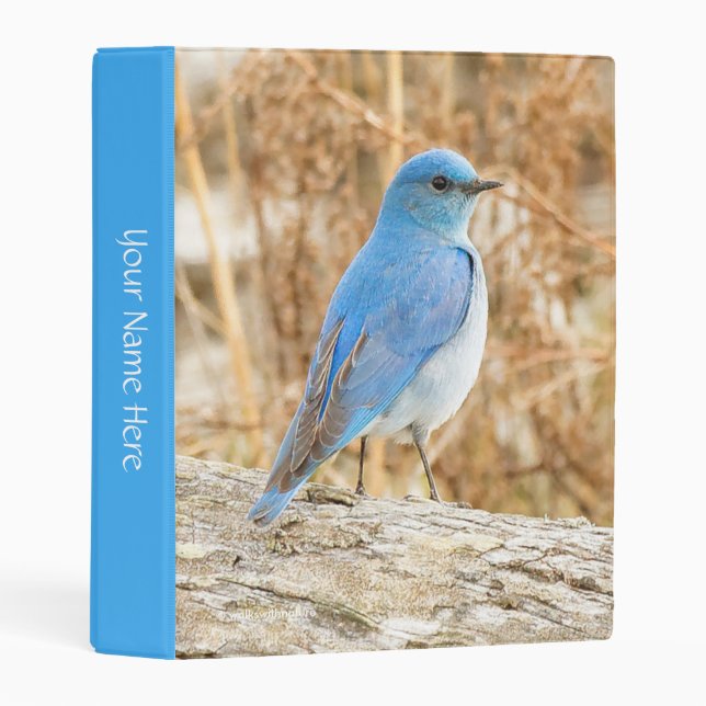 Beautiful Mountain Bluebird on Beach Driftwood Mini Binder (Front/Spine)