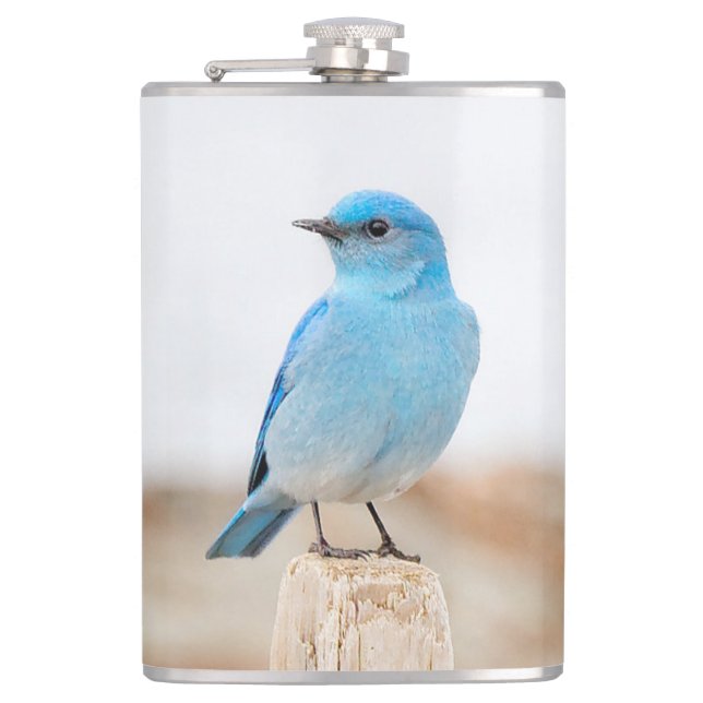 Beautiful Mountain Bluebird on Beach Stump Flask (Front)