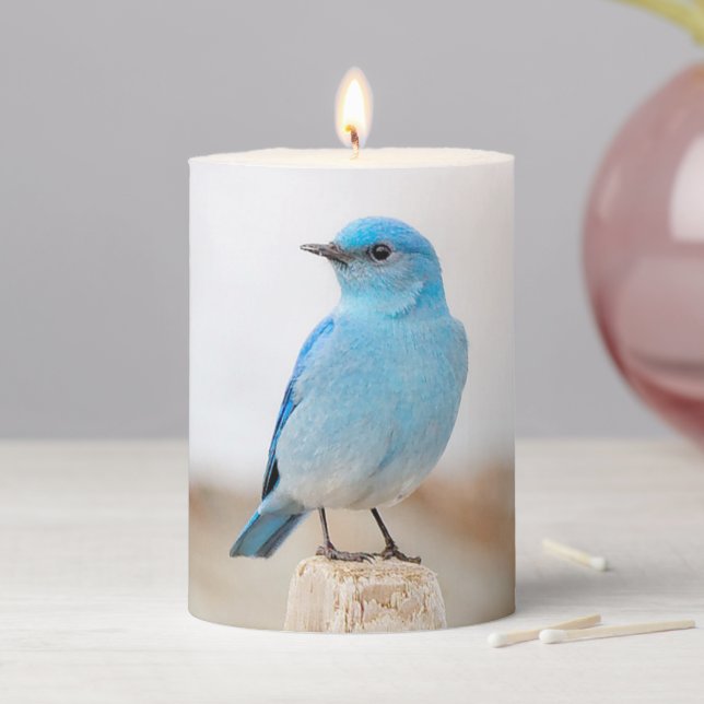 Beautiful Mountain Bluebird on Beach Stump Pillar Candle (In Situ)