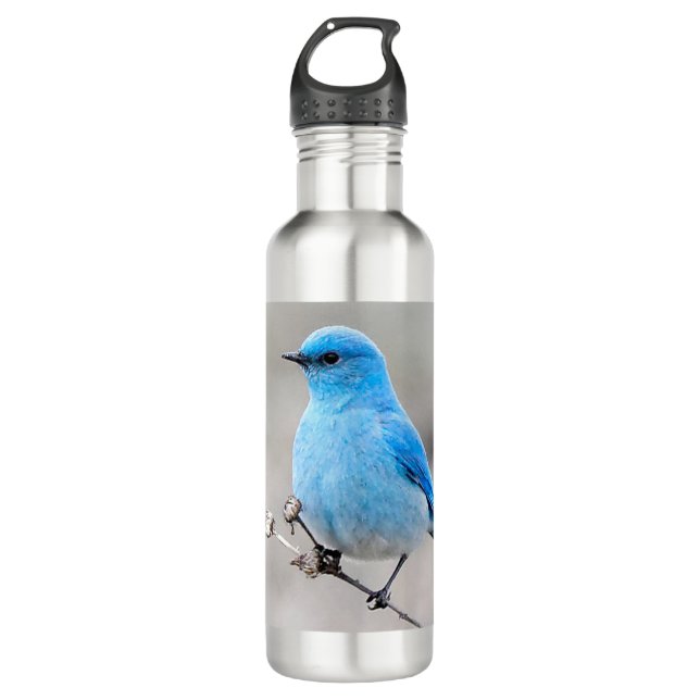 Beautiful Mountain Bluebird on Tansy Stainless Steel Water Bottle (Front)