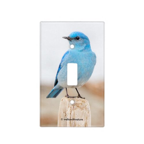 Beautiful Mountain Bluebird on the Beach Light Switch Cover