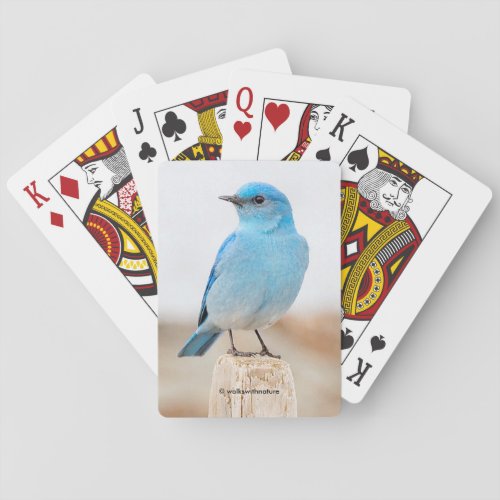 Beautiful Mountain Bluebird on the Beach Playing Cards