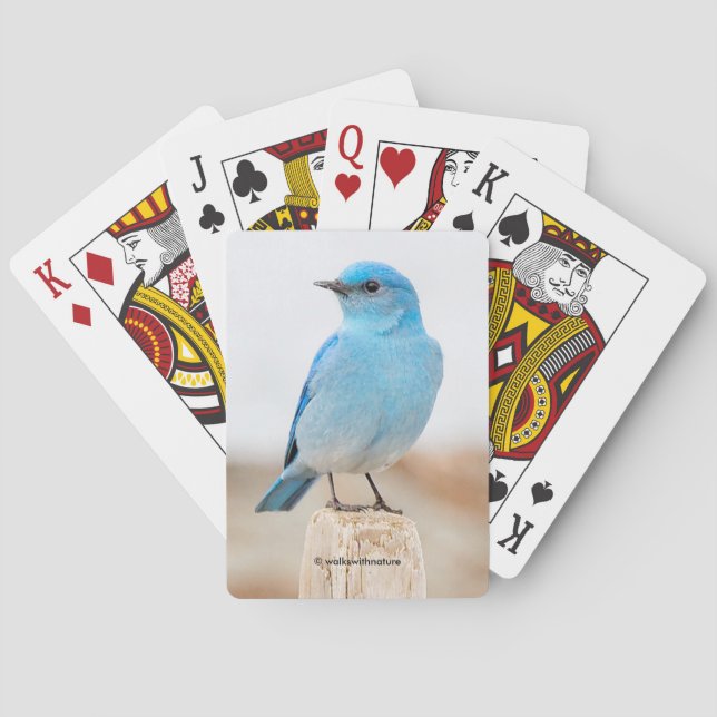 Beautiful Mountain Bluebird on the Beach Poker Cards (Back)