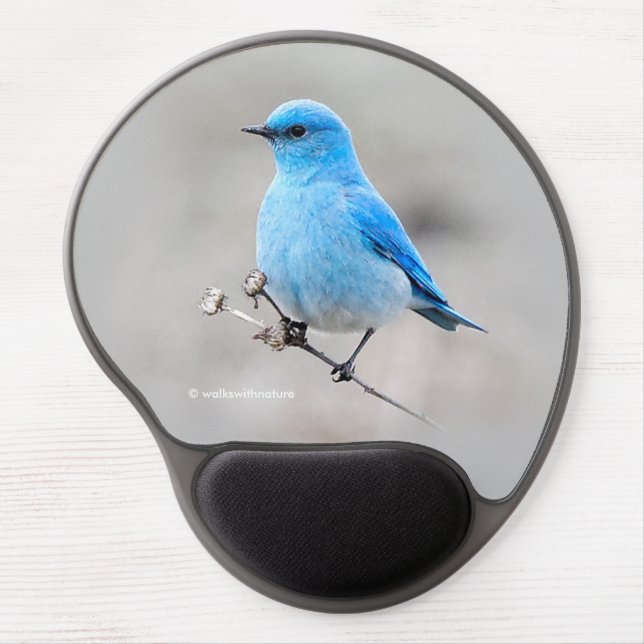Beautiful Mountain Bluebird on the Tansy Gel Mouse Pad (Front)