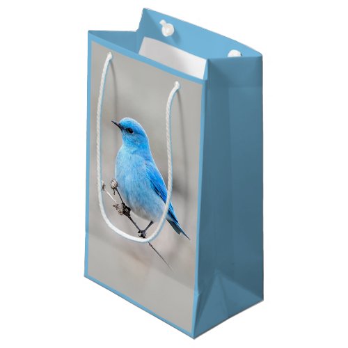 Beautiful Mountain Bluebird on the Tansy Small Gift Bag
