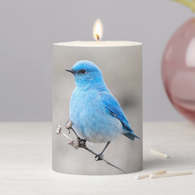 Beautiful Mountain Bluebird Pillar Candle (In Situ)