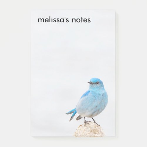 Beautiful Mountain Bluebird Post_it Notes