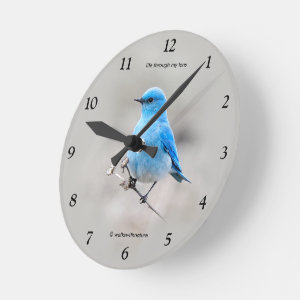 Beautiful Mountain Bluebird Round Clock