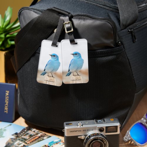Beautiful Mountain Bluebird Songbird at Beach Luggage Tag