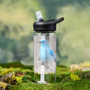 Beautiful Mountain Bluebird Songbird at the Beach Water Bottle